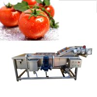 New type fruit orange dates air bubble washing machine vegetable potato okra washing machine with ozone part 