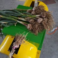 Electric Automatic Industrial Garlic Root Cutting Machine Garlic Stem Cutter Machine Root Cutter Of Garlic