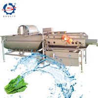 Industrial fruit and vegetable cleaning production line food processing equipment