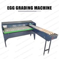 Automatic Commercial egg weighing and egg grading machine with light inspection