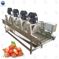 Industrial Fresh Vegetable Fruits Drying Processing Machinery For Sale