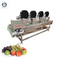 Conveyor Type Vegetable Dryer After Washing Fruit Air Cooling Drying Machine