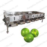 High efficiency orange lemon passion fruit apple grading machine for different levels fruit sorting machine