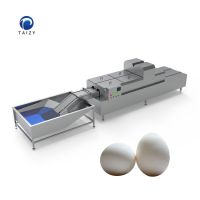 Fully automatic full stainless steel goose chicken duck egg washing machine with roller brush