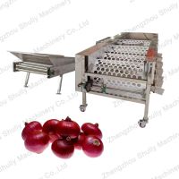 Food grade cherry tomato sorting machine orange lemon feeder and grading machine for different levels