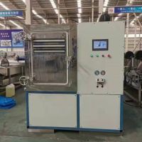 China industrial vacuum food freeze dryer price freeze dry machine