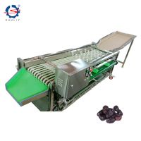 Olive Nut Potato Jujube Sorting Grading Machine fruit sorting counting machine