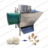 high outpout 200kg white Garlic Clove Splitting Garlic Peeler Production Line  from China