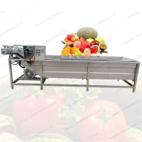 Automatic Vegetable Fruit Washing Washer Processing Machines