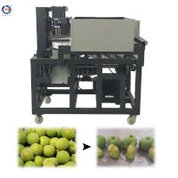 Automatic Fresh Dates Peach Plums Apricot Apple Olive Fruit Seed Pitting Machine Price