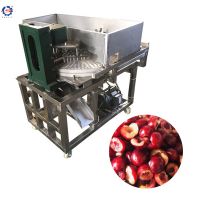 Factory Wholesale Red Dates Pitter Olive Core Peach Pitting Machine