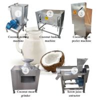 Customized Coconut Milk Processing Plant Coconut Water Milk Production Line