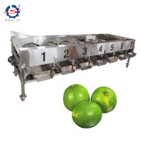 Factory Price Automatic Fruit Vegetable Sorter Apple Potato Tomato Orange Avocado Onion Grading Machine