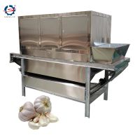 High Efficiency No Damage Commercial Onion Peeler Automatic Garlic Peeling Machine