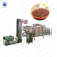 Hot Selling Stainless Steel Gas Type Conveyor Belt Peanut Roaster Continuous Nut Roasting Machine For Sale