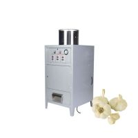 garlic peeler machine fresh peeled garlic project peeling garlic