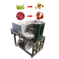 High Efficiency Jujube Pitter Destoner Machine Cherry Olive Red Date Pitting Machine