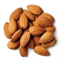  Factory Wholesale High Quality Health Nature Food Nut Almond