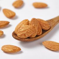  Factory Wholesale High Quality Health Nature Food Nut Almond