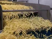 Vibration Conveyor