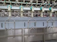 Poultry chicken slaughtering line