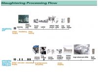 https://ar.tradekey.com/product_view/1000-5000bph-Chicken-Slaughtering-Line-With-Vertical-Plucker-Chiller-10180623.html