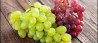 FRESH GRAPES