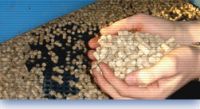 wood pellets,wood pellet supplier,wood pellets exporters,wood pellets dealers,wood pellets producers,