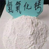  White Powder Calcium Hydroxide Ca (OH) 2 Hydrated Lime Used For Agricultural CAS NO&acirc;€‚1305-62-0