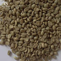 Green Arabica Beans from Vietnam