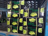 Fresh Seedless Lime from Vietnam