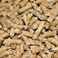 Woody biomass