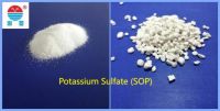 Non-water-soluble fertilizer~Potassium Sulfate