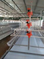 A Type 160 Birds Semi Automatic Hot Dipped Galvanized Layer Cages Egg