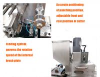 Dpb80 Medicine Solid Tablets Ca[sules Packaging Blister Packing Machine
