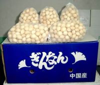 gingko nuts