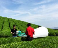 Air Cooling Two Stroke Cutting Width 1.2 M Tea Harvester