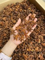 star anise anise spices Viet Nam Food spices anise flavor Culinary spices