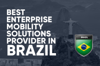 Best Custom Software Service Providers in Brazil 