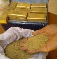 Gold Bars