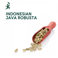 Indonesian Java Robusta Green Bean Coffee