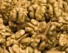 walnuts kernels  ;kernels organic