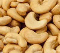 Cashew Nut/fruit