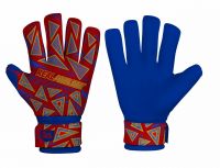 Goalkeeper Gloves (training Match)