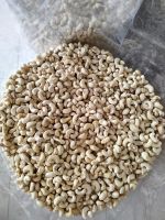 cashew nuts premium raw dry