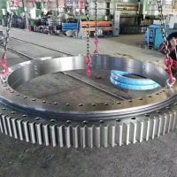 Single Cross Roller Slewing Bearing Manufacturer