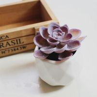  Artificial Fake Succulent Plants Potted