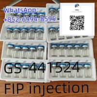 Wholesale Price Fipv Injection Gs-441524 Injection 6ml 8ml 10ml Gs-441524 Cas No.1191237-69-0