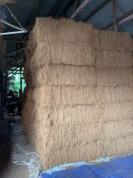 Cocofiber / Coir Fibre