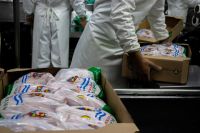 FROZEN WHOLE CHICKEN ( directly from the factory ) usd$ 1300 per mt